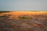 Die grüne Insel des Kakadu-Nationalparks existiert nicht das ganze Jahr: Die monatelange Trockenzeit ist eine Herausforderung für alle Lebewesen.