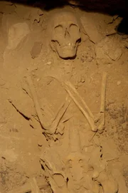 Intaktes Skelett eines Sohnes von Ramses in Luxor, Ägypten.