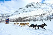 Mit sechs Hundestärken durch den Schnee: Das Schlittenrennen ist einer der beliebtesten Ausflüge im Laufe einer Hurtigruten-Reise.