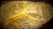 Spektakulär: die prächtigen Goldbleche aus dem Grabschatz. Der Restaurator Christian Eckmann und sein Team haben sie in jahrelanger Kleinarbeit aus tausenden Fragmenten zusammengepuzzelt.