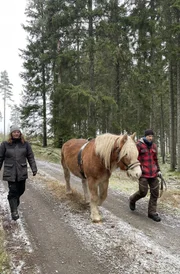 Vivian (41) und Alex (44) mit ihrem Pferd. Der Winter steht vor der Türe und sie müssen noch Brennmaterial besorgen.