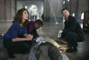 Det. Stella Bonasera (Melina Kanakaredes) und ihre Kollegen Dr. Sheldon Hawkes (Hill Harper) und Det. Mac Taylor (Gary Sinise, r.) finden die erhängte Leiche des Nachtwächters Dario Gonzales (Paul Lacovara). War es Selbstmord oder gar Mord?