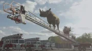CGI image - Two rhinos standing on aerial ladder.