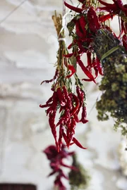 Getrocknete Chilis.