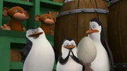 L-R: Skipper, Private, Kowalski