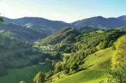 In einem abgelegenen baskischen Tal, ganz nah an der Grenze zu Spanien, leben die Kintoa-Schweine.