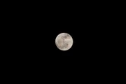 Der Vollmond am Nachthimmel.