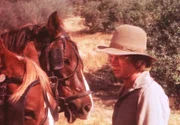 Almanzo (Dean Butler) hat Schwierigkeiten, mit seiner schweren Wagenladung den steilen Hügel zu erklimmen.