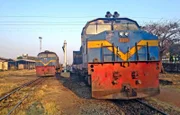 Tansanische Jumbo Noses im Dodoma.