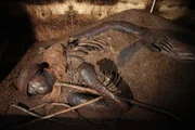 Moorleiche von Windeby aus dem Archäologischen Landesmuseum Schloss Gottorf.
