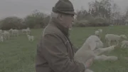 Sepp Hartl (Bild) ist einer der letzten Wanderschäfer. Mit etwa 1.000 Schafen zieht er von April bis Weihnachten im Raum Augsburg umher. In unserer dicht besiedelten Landschaft eine echte Herausforderung.