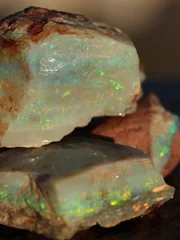 Jaymin Sullivan, James Caruana and Noah McDonough are digging up a precious fossil in the Paydirt mine. The find could bring the gem hunters several thousand dollars.