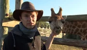 Ajane darf das erste Mal ins Reservat, Tierpfleger Dave Nelde begleitet sie.
