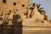 Karnak, Ägypten - Kriosphinxen auf der Allee der Sphinxen vor einem Tempel in Karnak. (Windfall Films)