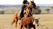 Eine neue Frau auf Drover's Run: Stevie Hall (Simmone Mackinnon) ist nicht nur eine sehr gute Reiterin, sie beherrscht auch die Viehzucht.