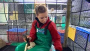 Isabel Micklem verarztet einen Kormoran.