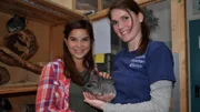 ARD/BR ANNA UND DIE HAUSTIERE, "Chinchilla", am Samstag um 07:35 Uhr im ERSTEN. Chinchillas haben ein unglaublich weiches Fell und es ist herrlich sie zu streicheln. Doch richtige Schmusetiere sind sie nicht. Weiteres Bildmaterial finden Sie unter www.br-foto.de.