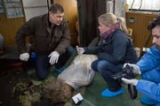 ARD HEITER BIS TÖDLICH - MORDEN IM NORDEN, II. Staffel der Krimiserie am Vorabend mit 16 neuen Folgen, Folge 25 "Auge um Auge" am Dienstag (28.05.13) um 18.50 Uhr im Ersten. Die Ermittler Finn Kiesewetter (Sven Martinek, l.) und Sandra Schwartenbeck (Marie-Luise Schramm, r.) stellen fest, dass der Tote ein Glasauge hatte.