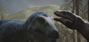 Ein T-Rex und ein Velociraptor.