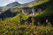 Nationalpark Hohe Tauern; Im 'Blinig'