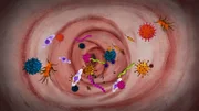 Wir werden kolonisiert. Von unzähligen Mikroorganismen. Gemeinsam nennt man sie das Mikrobiom. Es trainiert unser Immunsystem und ist daher für unsere Gesundheit ausschlaggebend.