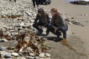 Patrick, Grace (Amanda Righetti, r.) und Teresa (Robin Tunney, l.) müssen den Tod einer jungen Frau aufklären, deren Leiche an den Strand einer Insel, die vor der Küste Kaliforniens liegt, gespült wurde ...