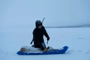 Johnny Rolfe auf einer Reise durch den Schnee (National Geographic/Mike Fennell)