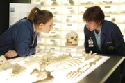 Dr. Brennan (Emily Deschanel, l.); Dr. Addy (Eric Millegan, r.)