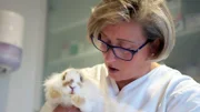 Die Inseltierärztin Stephanie Petersen beruhigt Kaninchen Keks.
