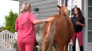 Stephanie Petersen muss das Pony Prinzessin vor der Praxis impfen.