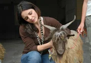 Susanne Mertens (Elisabeth Lanz) will das im Zoo aufgetauchte Zicklein wieder zu dessen Besitzern bringen.