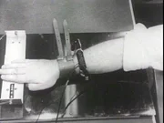 Bei den Milgram-Experimenten der 60er Jahre waren die eingeweihten "Schüler" vermeintlich an einen Elektroschock-Apparat angeschlossen.