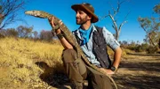 Coyote holds the perentie.