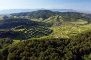 PHOENIX WILDES DEUTSCHLAND, "Der Kaiserstuhl - In die Hitze des Oberrheins", am Freitag um 21:00 Uhr. Auf dem Hauptkamm wächst Wald, in tieferen Lagen ist der alte Vulkan von Weinbergen geprägt.