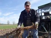 Gerhard Bärthlein kümmert sich seit 40 Jahren um die Uehlfelder Störche. Er ist einer der letzten drei Meerrettichbauern in Uehlfeld.