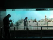 Penguin Exhibit
