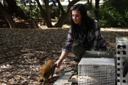 Photo of squirrel handler feeding a squirrel in the West Coast, USA.