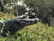 Lucas, Crisitan and Mario look at a caiman.