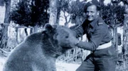 Dymitr Szawlugo, ein polnischer Soldat, der bei der Pflege des Bären half, in Italien nach der Schlacht von Monte Cassino
