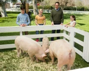 (v.li.): Daniel DiMaggio (Oliver Otto), Meg Donnelly (Taylor Otto), Diedrich Bader (Greg Otto), Julia Butters (Anna-Kat Otto).