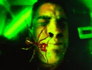 Grausam: Der Plexiglas-Sarg bekommt Risse, und Nick (George Eads) wird von Feuerameisen befallen.