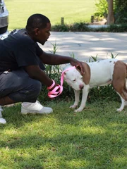 Spencer with Cranberry Sauce Spencer with Cranberry Sauce