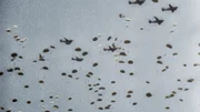 Fallschirmjäger werden im Einsatzgebiet abgesetzt.