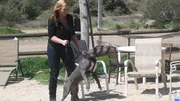 Gwato lunges at Tia.