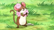 Auch die kleine Feldmaus ist ganz begeistert von all den Blüten.