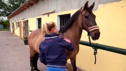 Annika kümmert sich um ihr Pferd Oh-Fiona.