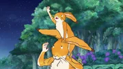 Der kleine braune Hase möchte unbedingt einmal einen Stern anfassen.
