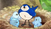 Kleiner brauner Hase besucht Blauvogel und seine frisch geschlüpften Vogelkinder.