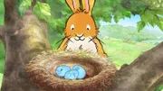 Kleiner brauner Hase entdeckt Blauvogels Nest.