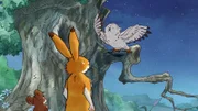 Die kleine Weißeule erzählt dem kleinen braunen Hasen und der kleinen Feldmaus eine Geschichte von einem Stern, der ihr einen Wunsch erfüllt hat.